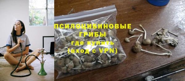 амф Алзамай